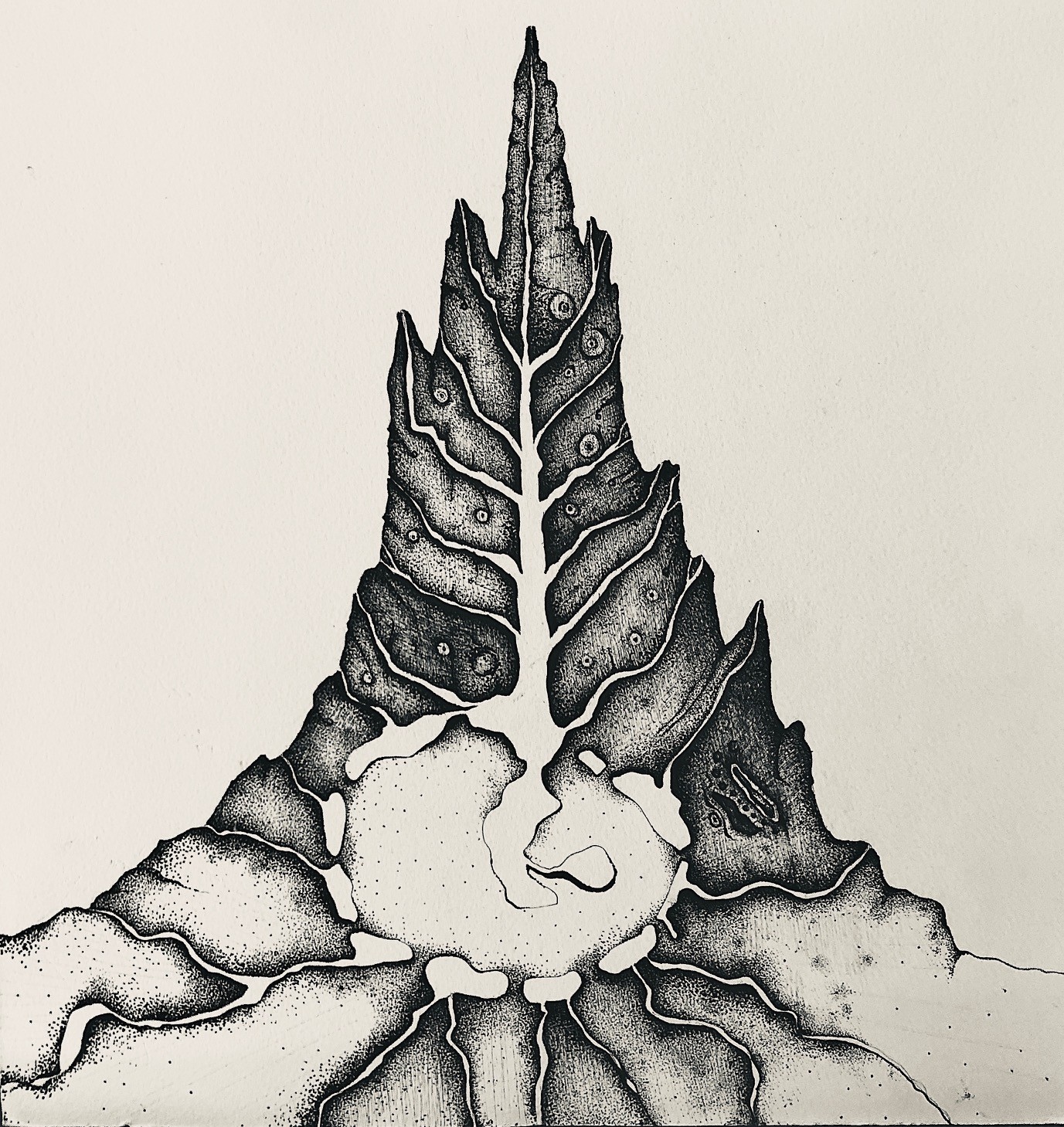 Artwork by Shannon Scott